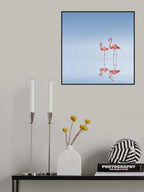 Flamingo Poster och Canvastavla