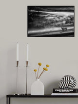 Poster och Canvastavla