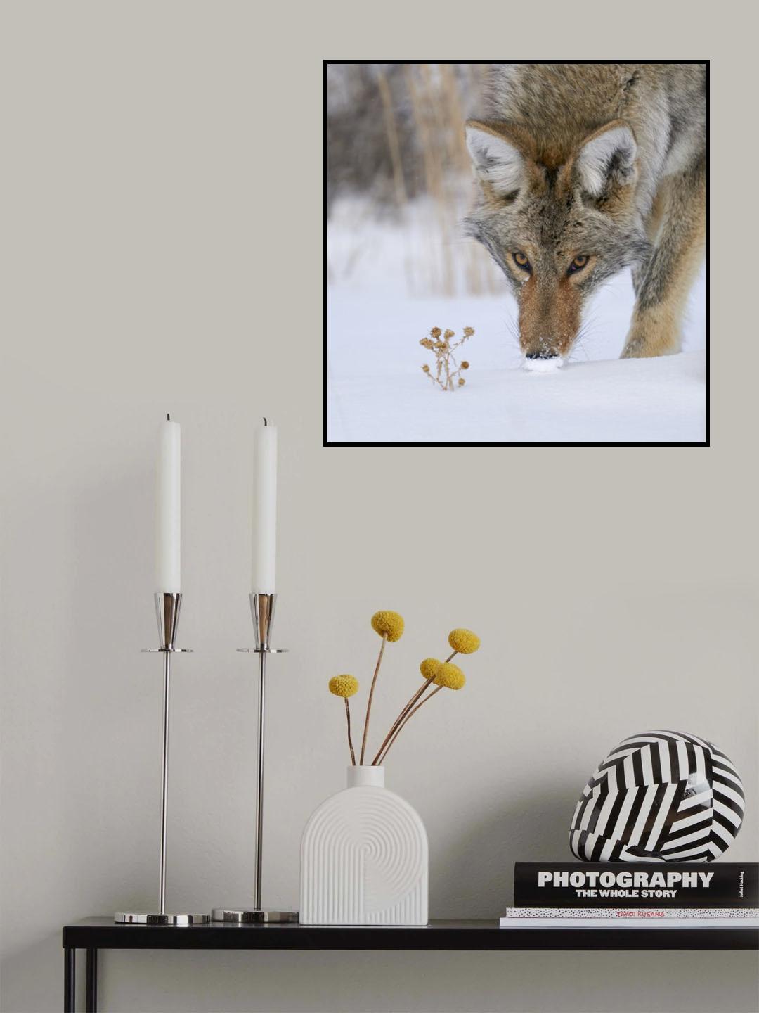 The Thistle and the Hunter Poster och Canvastavla