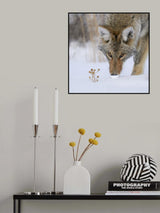 The Thistle and the Hunter Poster och Canvastavla