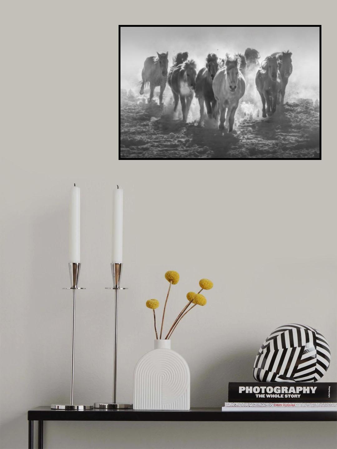 Galloping Horses In Snowy Field Poster och Canvastavla