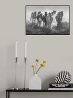 Galloping Horses In Snowy Field Poster och Canvastavla
