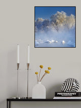 Morning fog and rime in Kuerbin Poster och Canvastavla