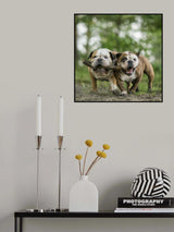 Sharing a stick Poster och Canvastavla