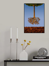The upside down tree Poster och Canvastavla