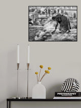 Here we come Poster och Canvastavla