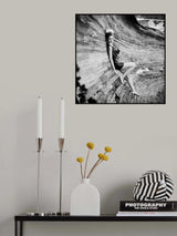 The curves of beauty Poster och Canvastavla