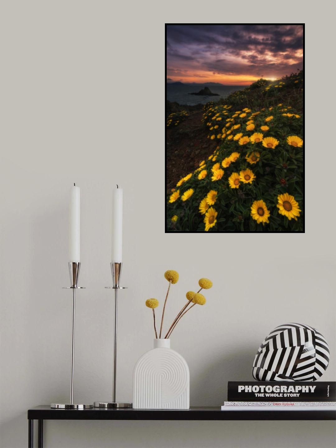 Yellow flowers Poster och Canvastavla
