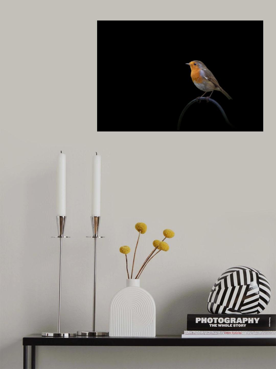 Poster och Canvastavla