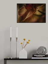 Botanical Series - Orchid 1/2 Poster och Canvastavla