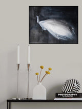 White Peacock Poster och Canvastavla