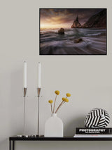Long Ursa. Poster och Canvastavla