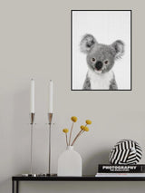 Peekaboo Baby Koala Poster och Canvastavla