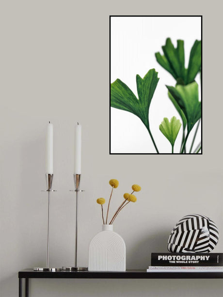 Ginko 5 Poster och Canvastavla