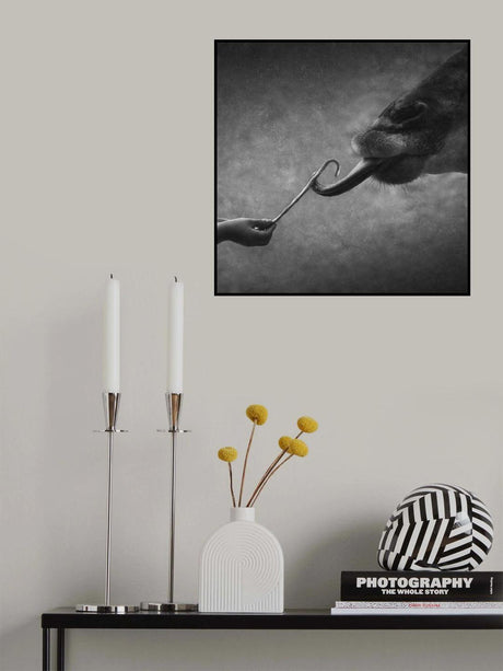 Give &amp; Take Poster och Canvastavla