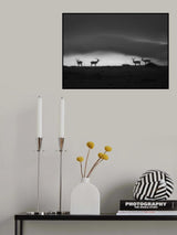 Waiting for rain Poster och Canvastavla