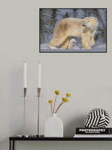 Vigilant Mom Poster och Canvastavla