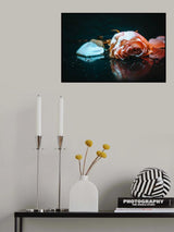 sad rose Poster och Canvastavla