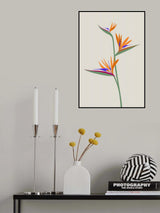 Bird of paradise Poster och Canvastavla