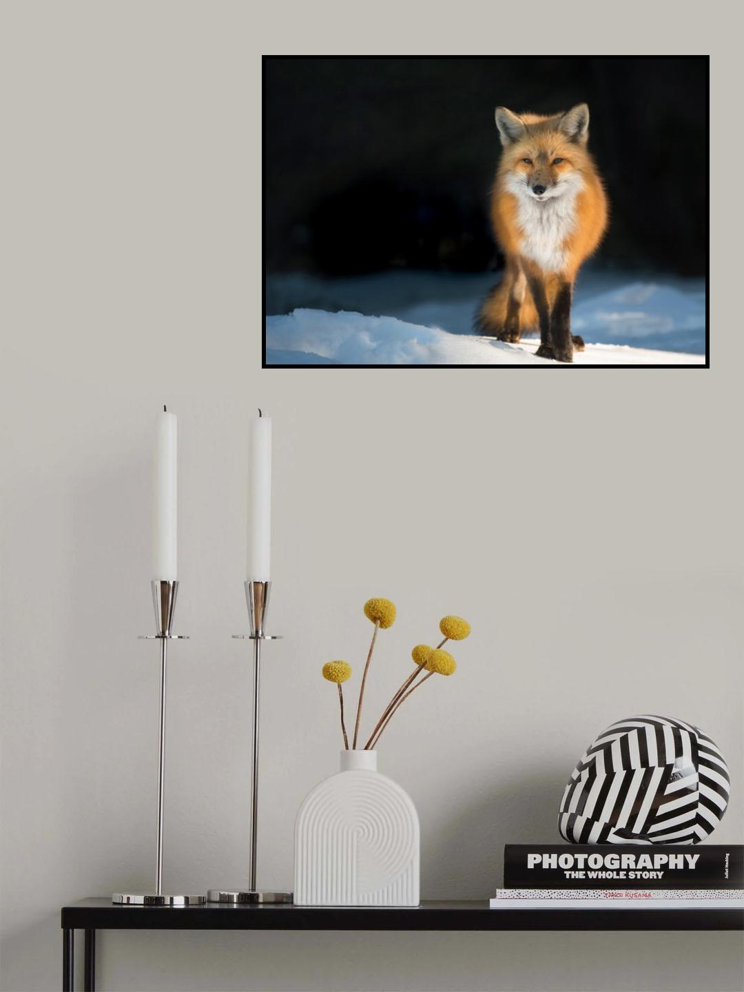 Red Fox at Sunset Poster och Canvastavla