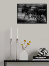 Born to be Wild bw Poster och Canvastavla