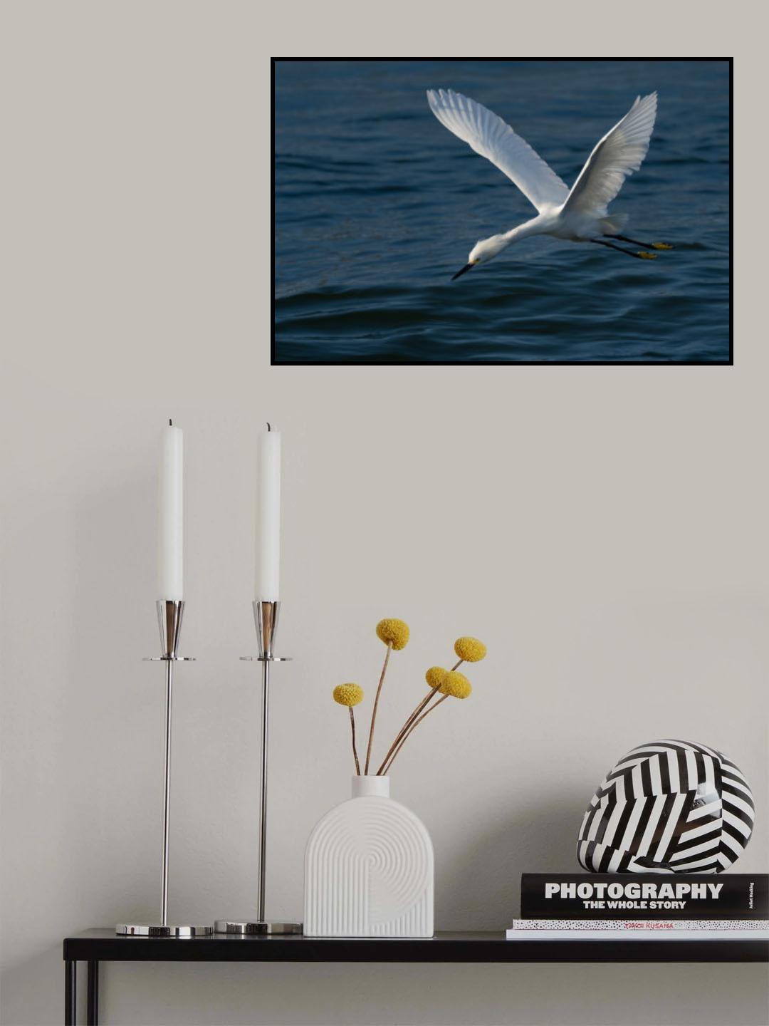 Gliding over the Ocean Poster och Canvastavla