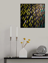 Plates Poster och Canvastavla
