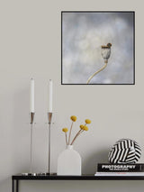Poppy pod &amp; ladybird Poster och Canvastavla