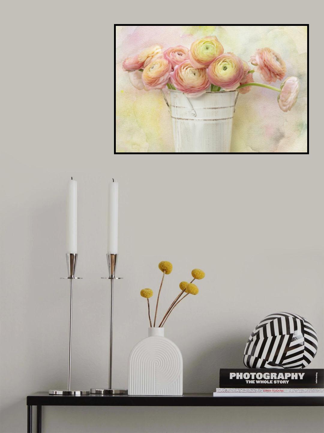 A Bucket Full of Ranunculus Flowers Poster och Canvastavla