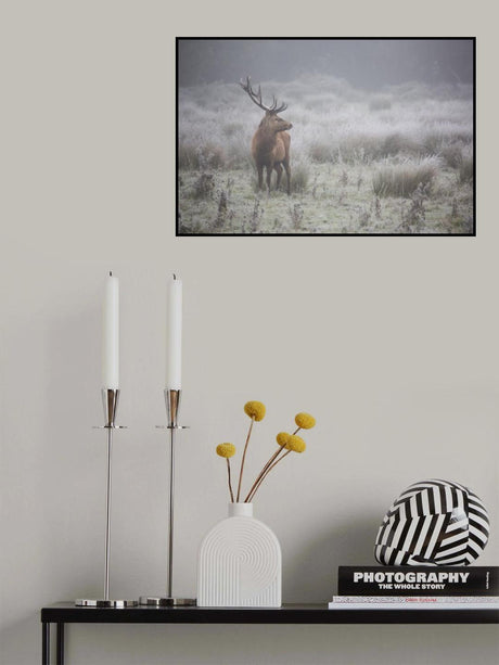 Prideful. deer . Poster och Canvastavla