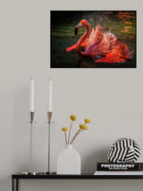 Poster och Canvastavla