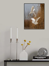 Double dance. Poster och Canvastavla