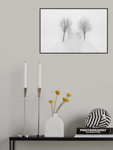 Trees in fog Poster och Canvastavla
