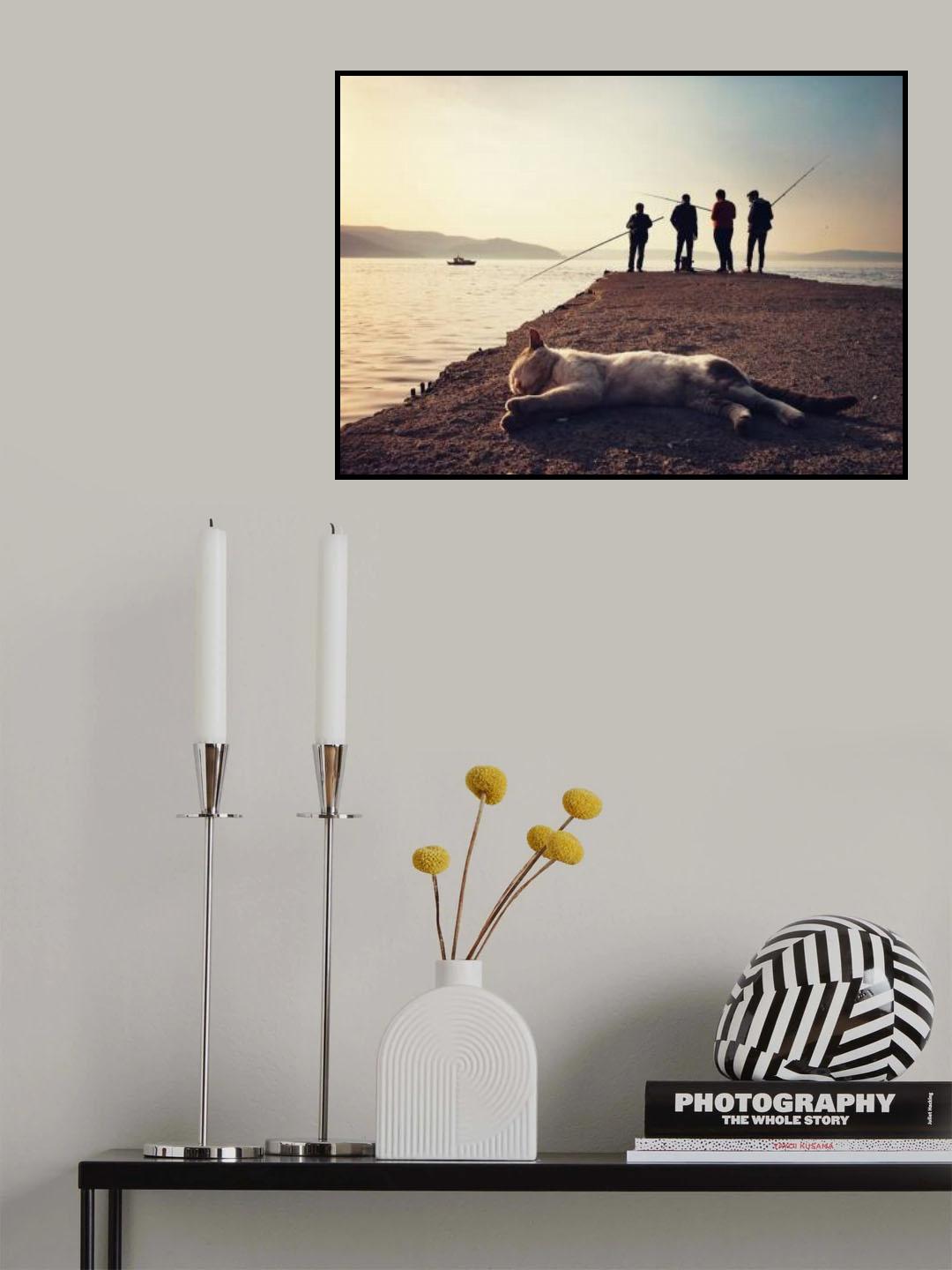 Another day of sun Poster och Canvastavla