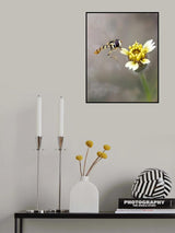 A Hover and The Flower Poster och Canvastavla