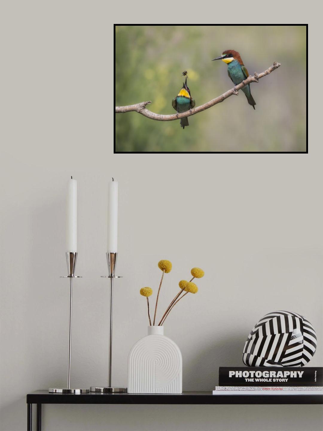 Lunch on the fly Poster och Canvastavla