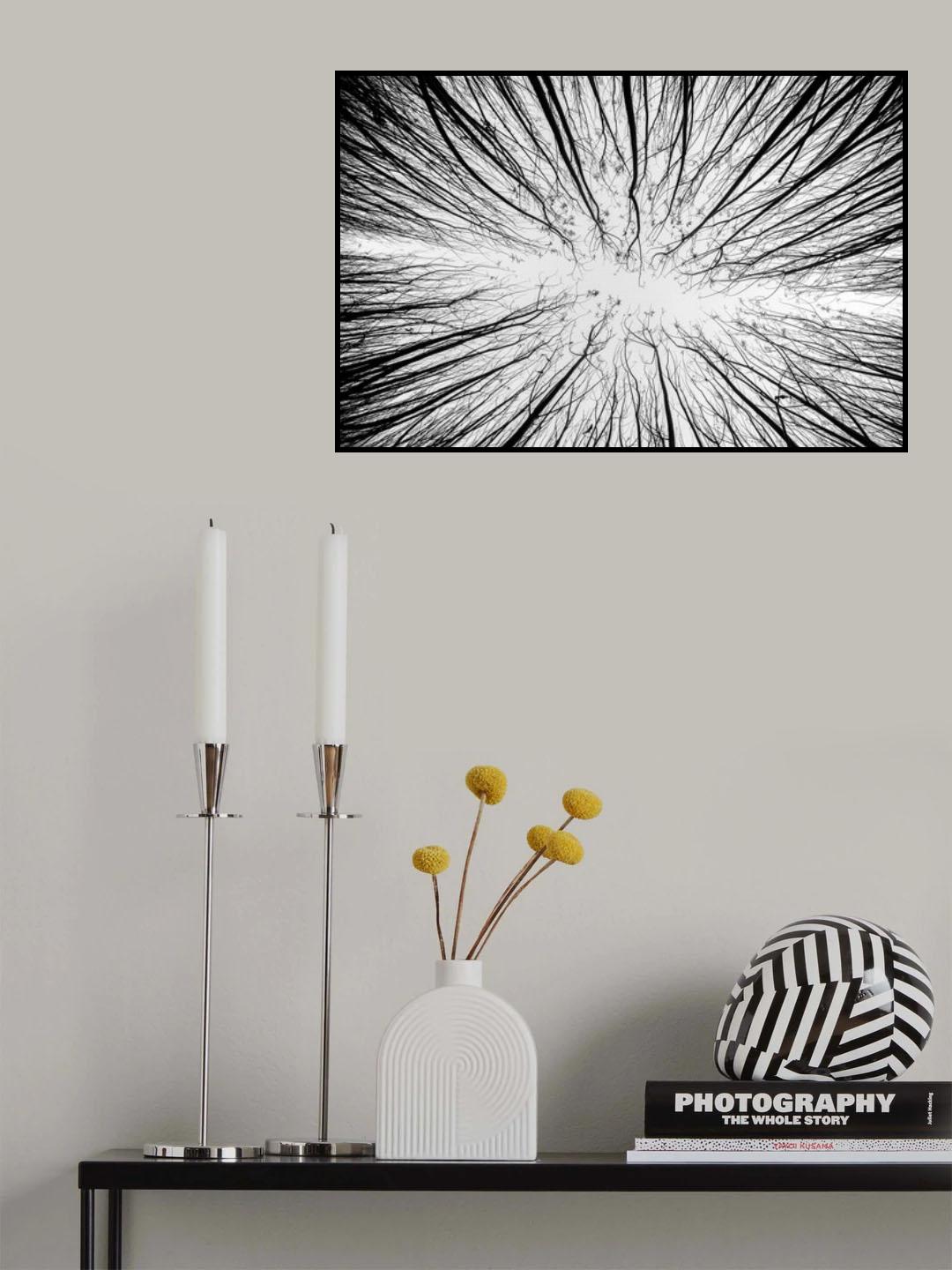 Up to the sky Poster och Canvastavla