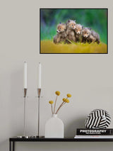... little explorers ... Poster och Canvastavla
