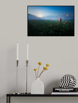 Follow me and i will show you the way Poster och Canvastavla