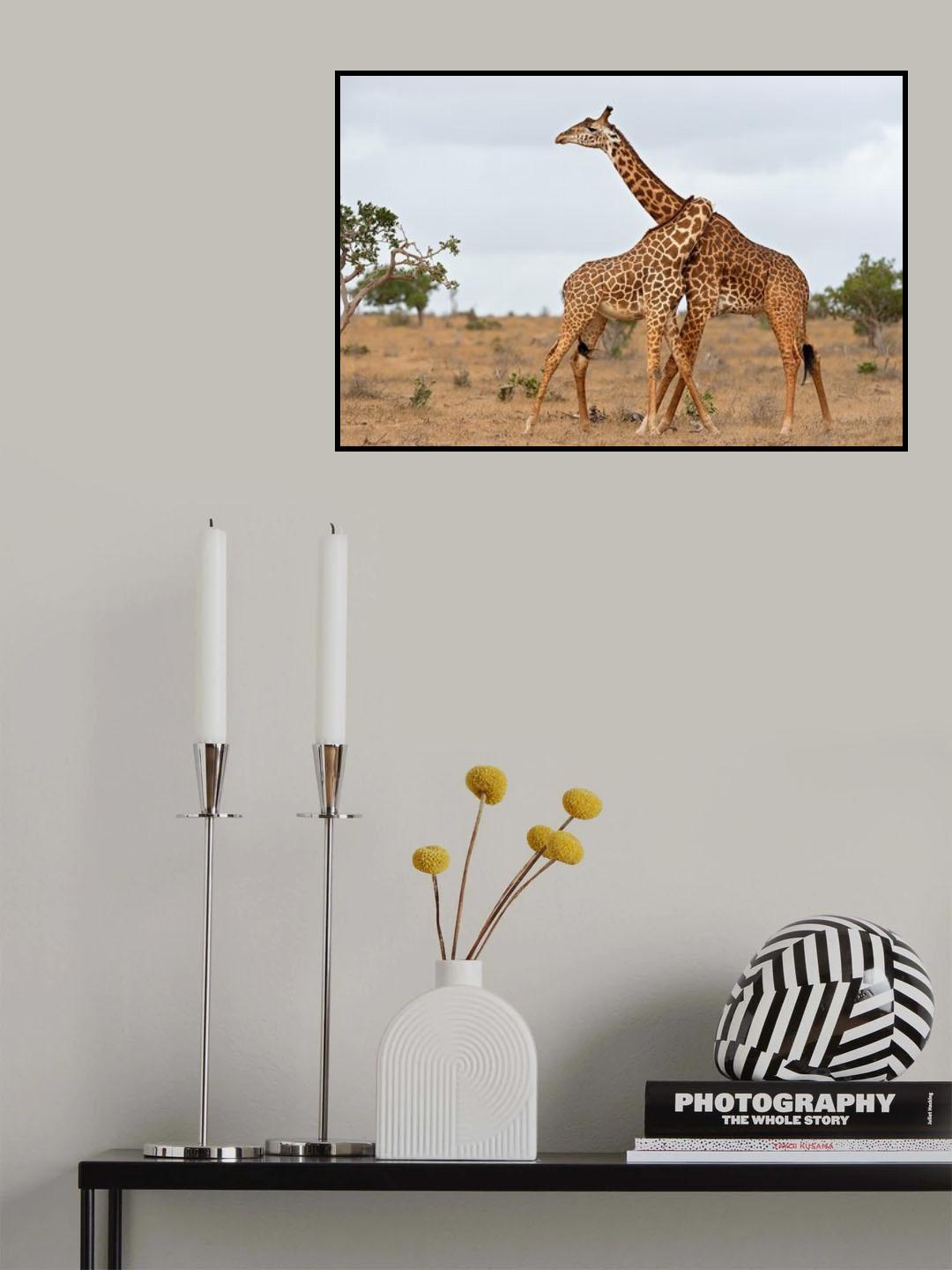 Necks Poster och Canvastavla