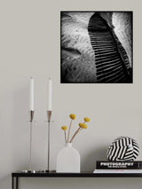 Black Summer Poster och Canvastavla