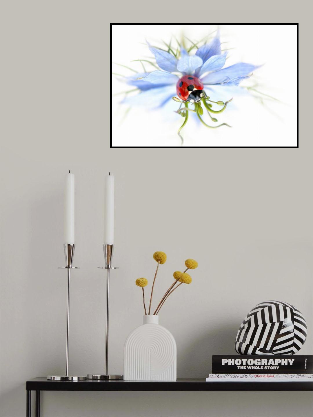 Lady in Blue Poster och Canvastavla