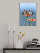 Butterflies Poster och Canvastavla