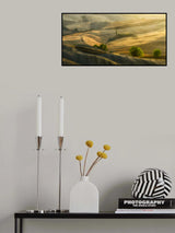 Summer fields Poster och Canvastavla