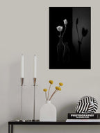 The Shadow of Spring Poster och Canvastavla