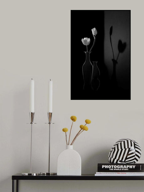 The Shadow of Spring Poster och Canvastavla