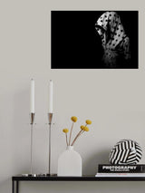 Darkness Poster och Canvastavla