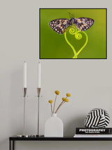 Only love matters Poster och Canvastavla