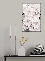 Chrysanthemum No 08 Poster och Canvastavla