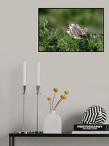 Only me not hungry Poster och Canvastavla